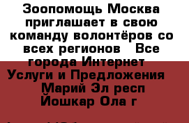 Зоопомощь.Москва приглашает в свою команду волонтёров со всех регионов - Все города Интернет » Услуги и Предложения   . Марий Эл респ.,Йошкар-Ола г.